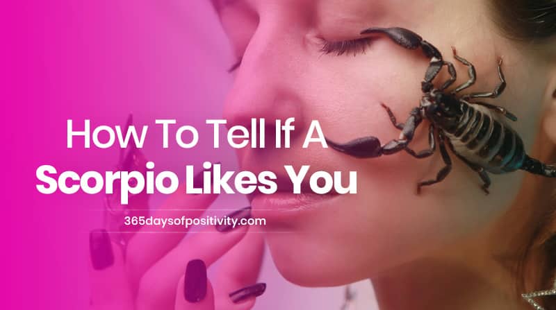 how to tell if a scorpio likes you