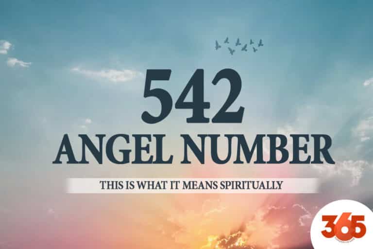 542 andělské číslo