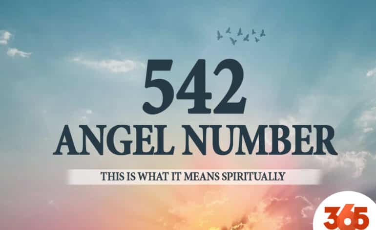 542 angel number