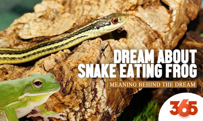 soñar con serpiente comiendo rana