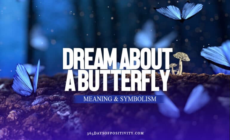 dream about a butterfly