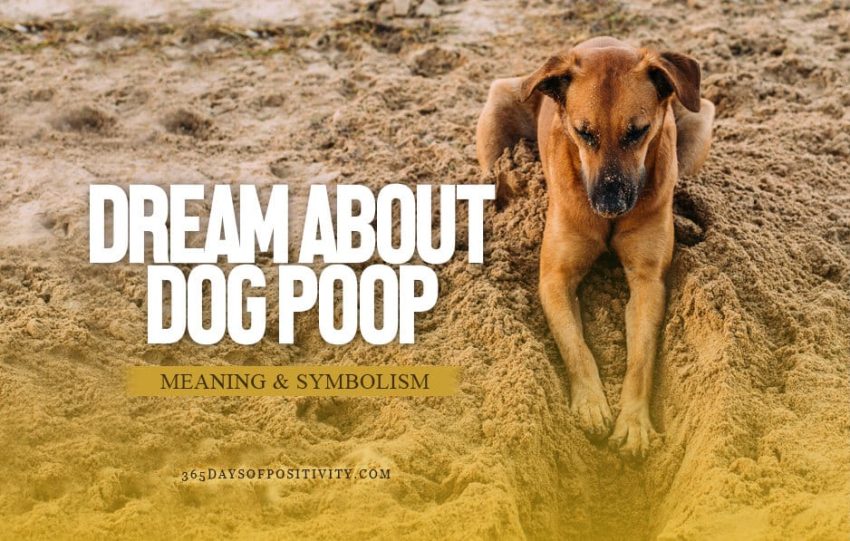 dream about dog poop