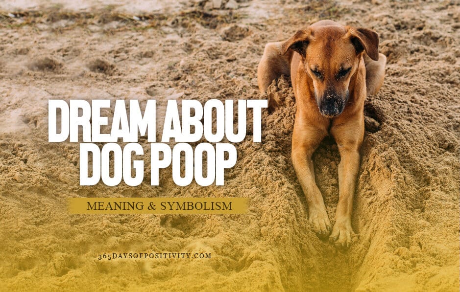 dream about dog poop