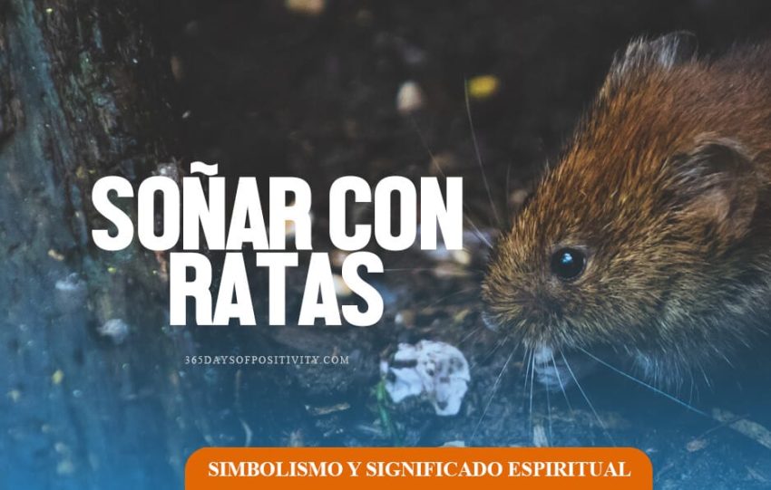 soñar con ratas