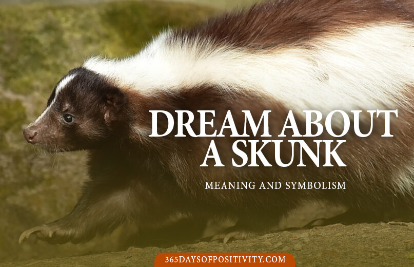 dream about a skunk