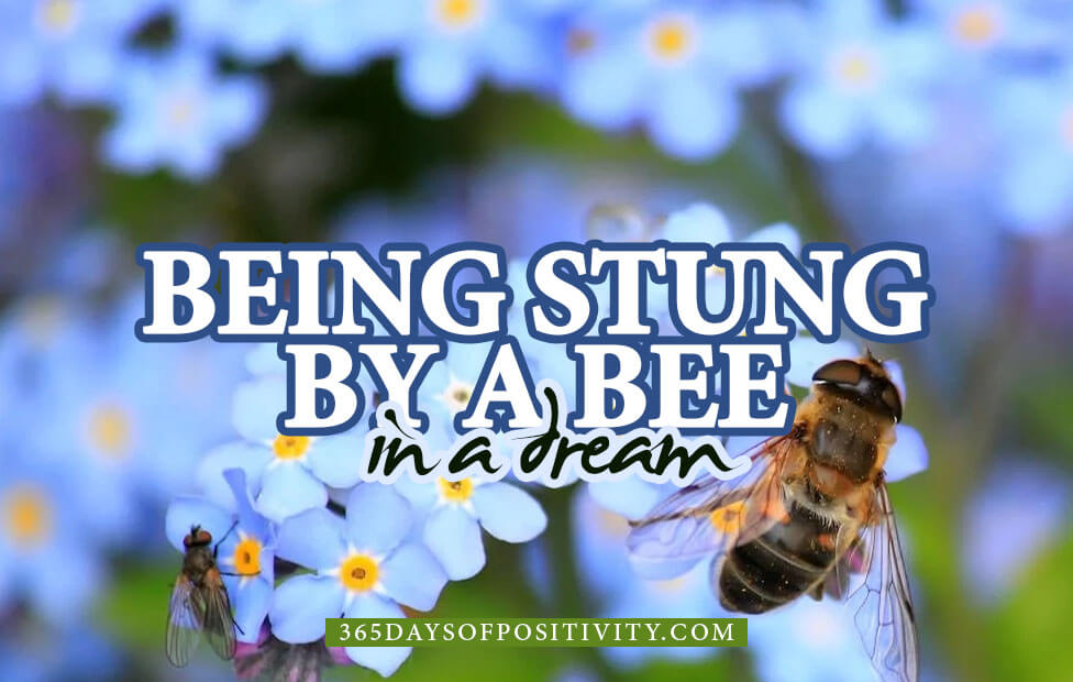 dream about being stung by a bee