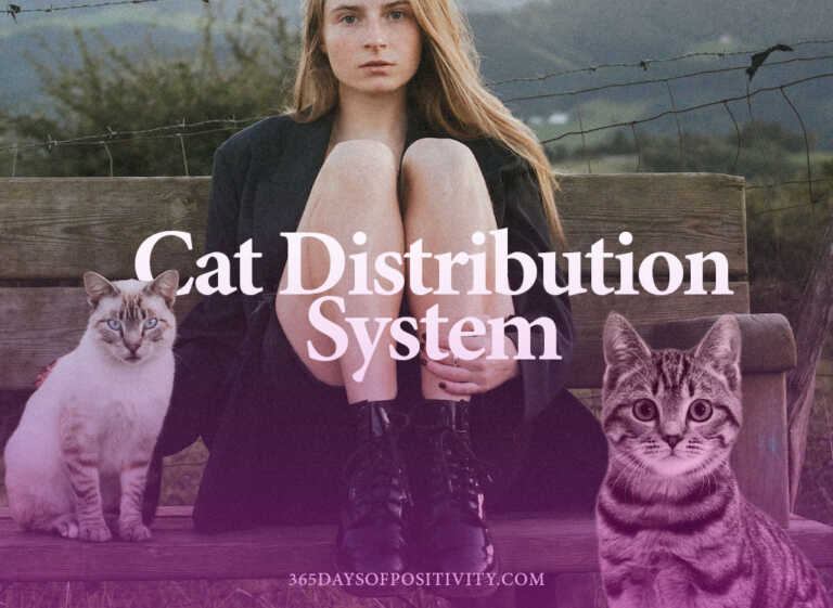 distribuční systém cat
