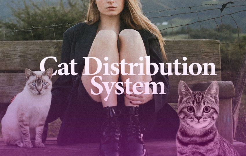 cat distribution system
