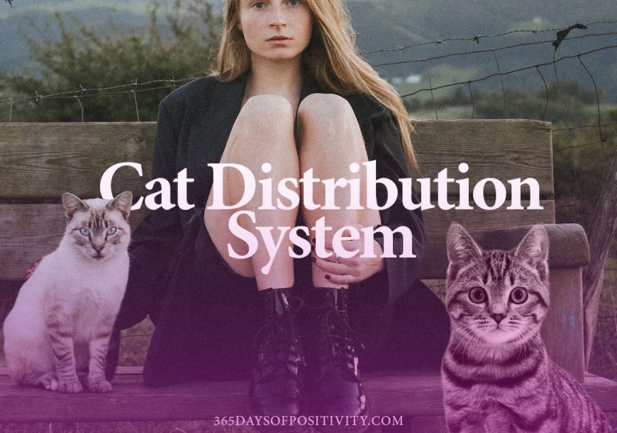 cat distribution system